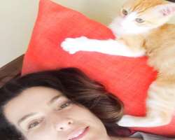 She has a cat in her house as a pet.